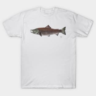 Salmon (color) T-Shirt
